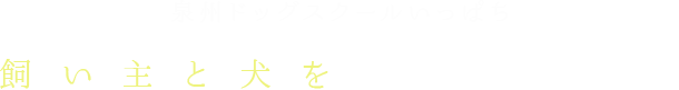 泉州ドッグスクールいっぱち,飼い主と犬をつなぐ通訳