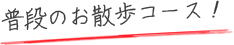 普段のお散歩コース